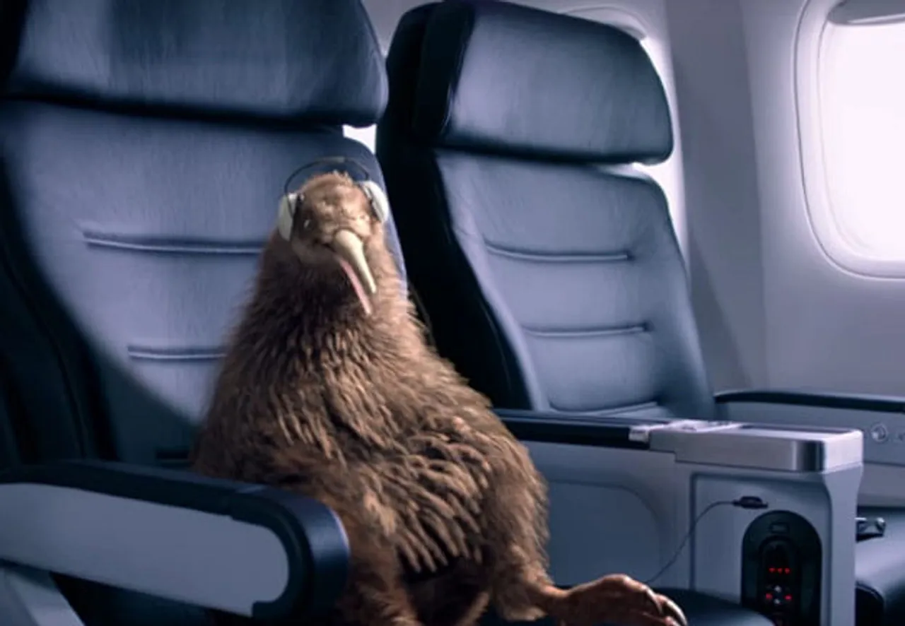 This kiwi is flying high
