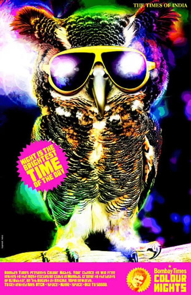 Owl - colour nights