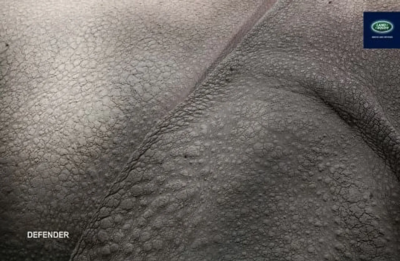 Hippo