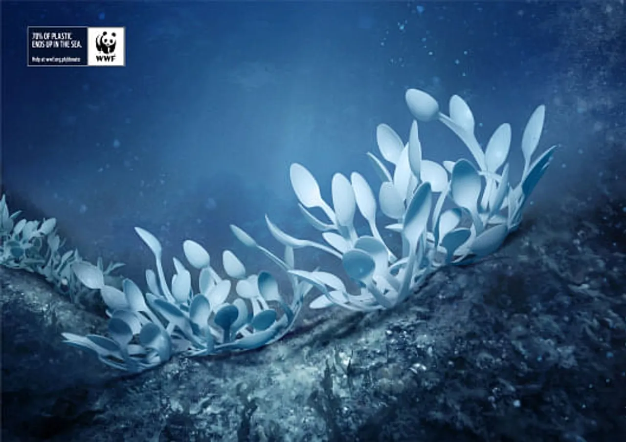 Corals- spoon