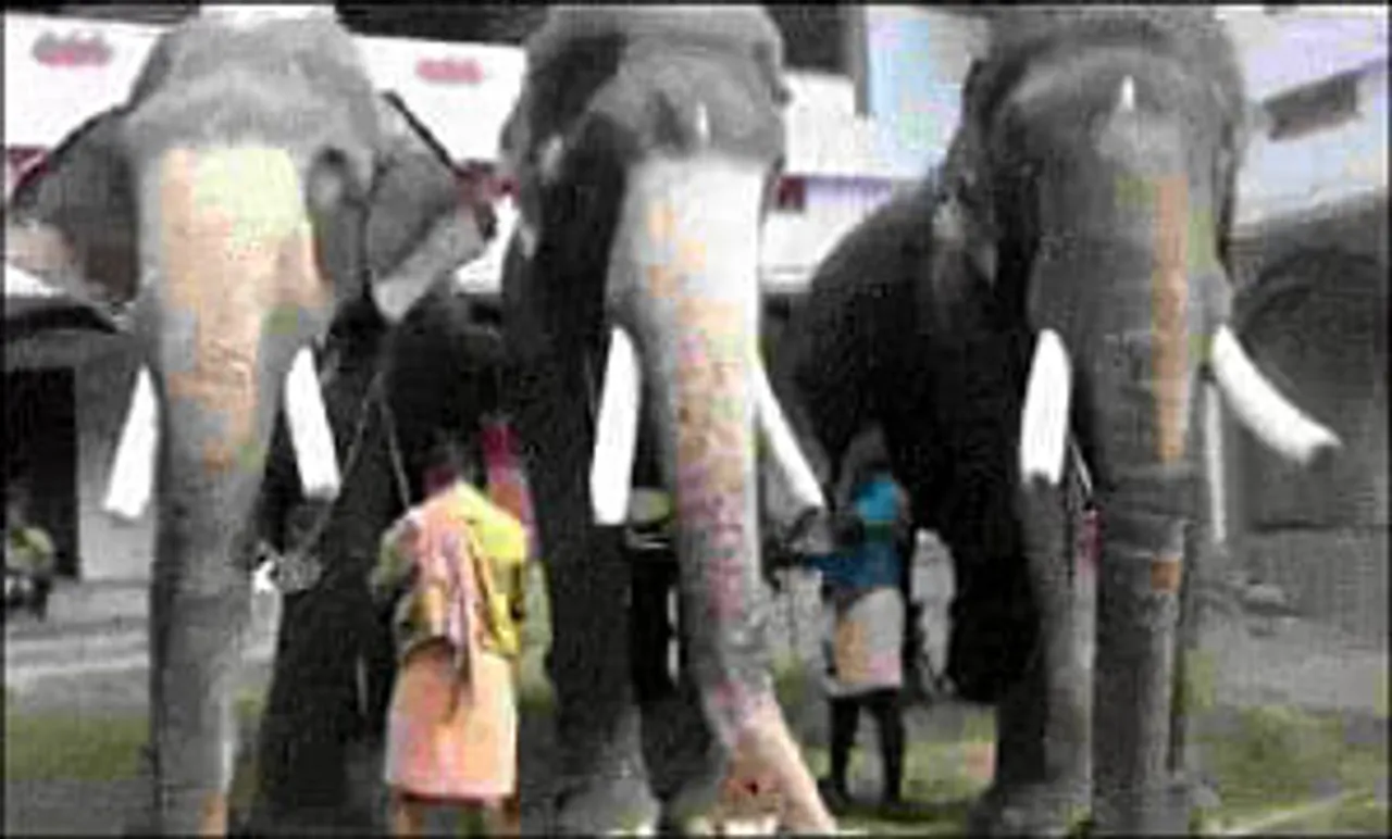 Cannes 2012: DDB Mudra, JWT, Leo Burnett & Percept H nominated in Promo & Activation