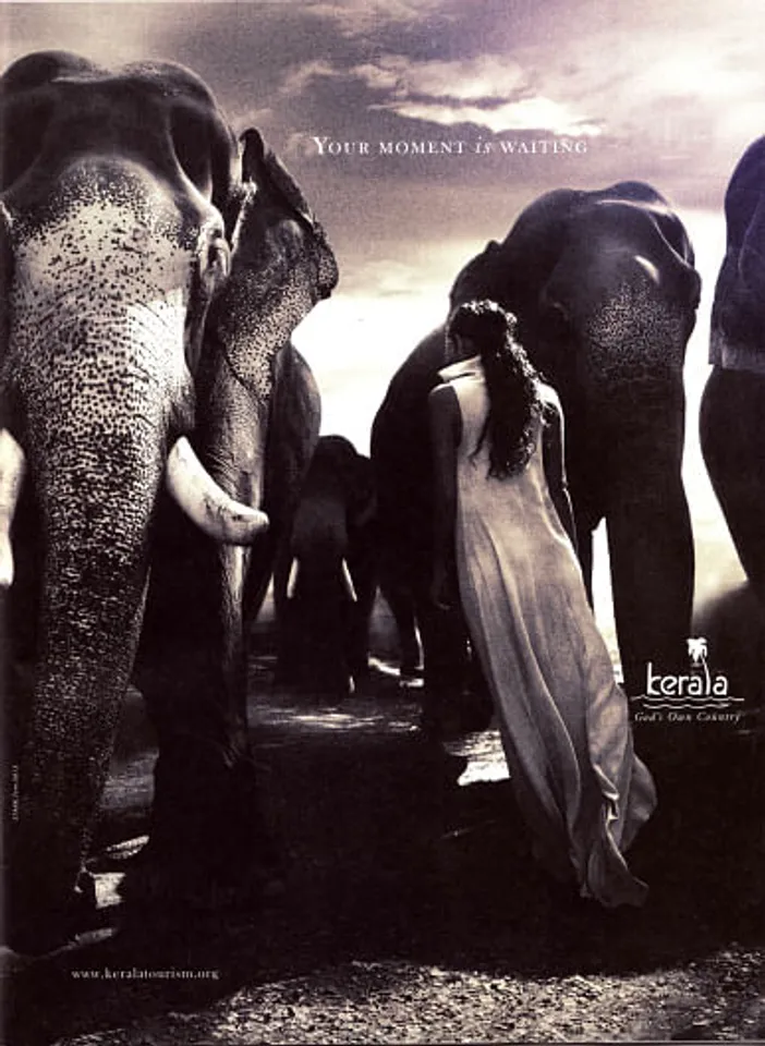 Woman and Elephants