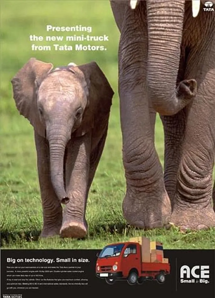 Elephants