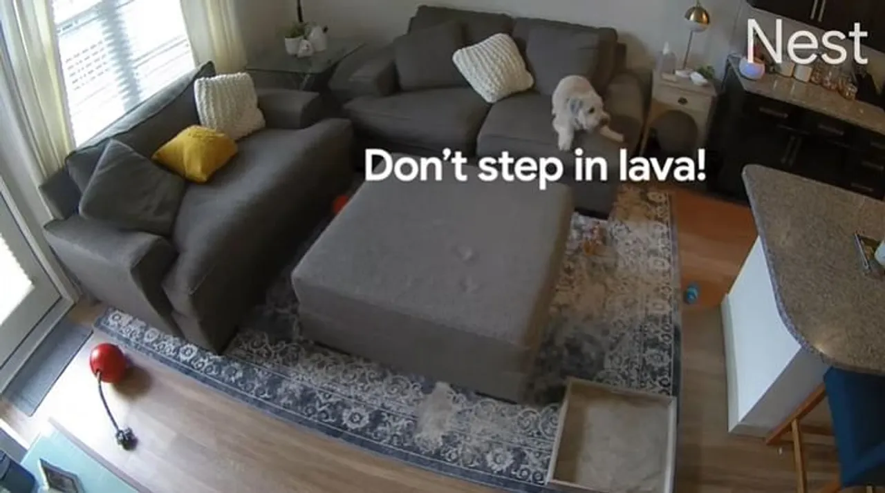 Google Nest casts delightful doggos in commercials for its new line of cameras and doorbells