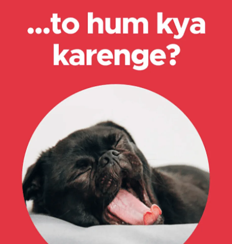 Zomato invites patrons to help improve the economy...