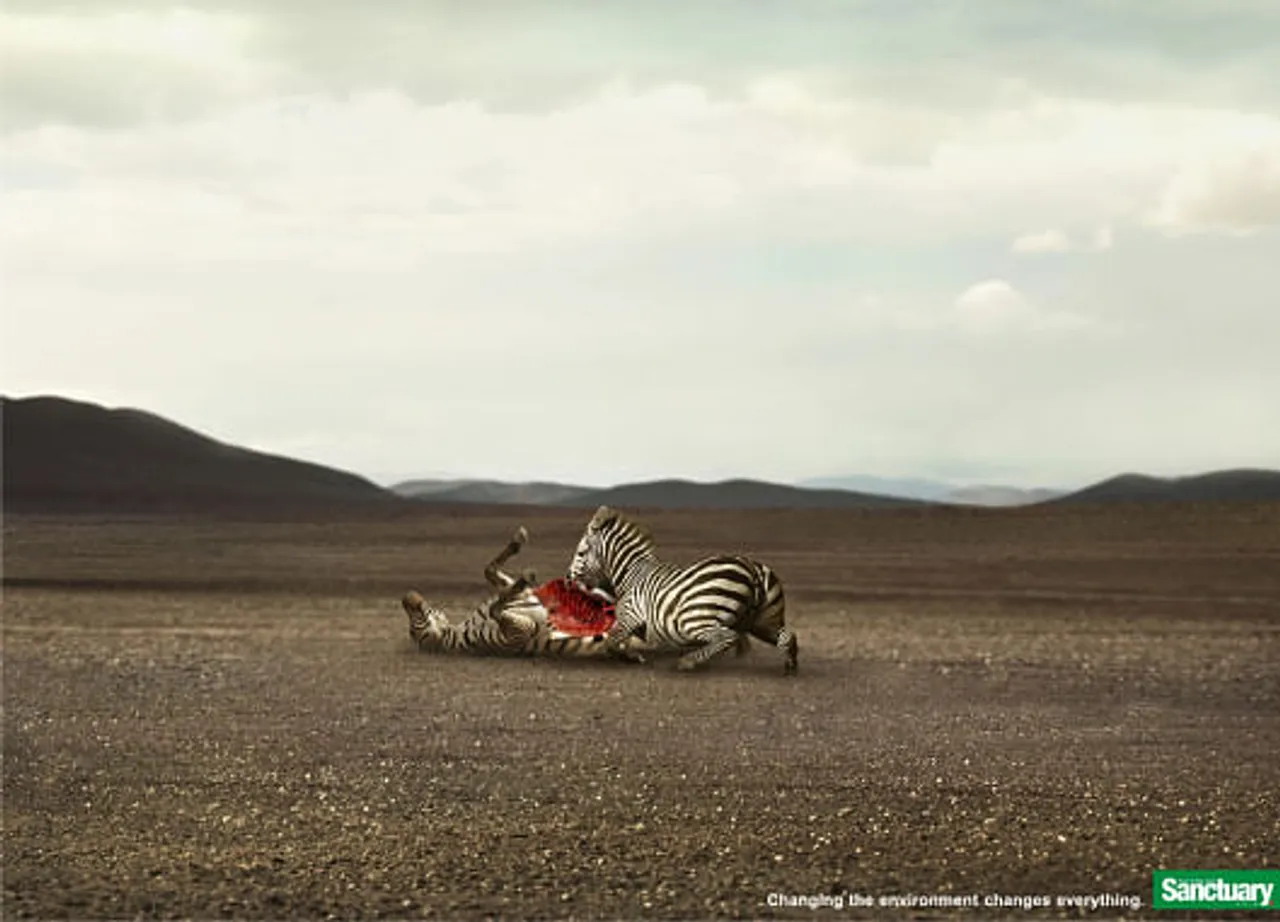 Sanctuary Asia - zebra