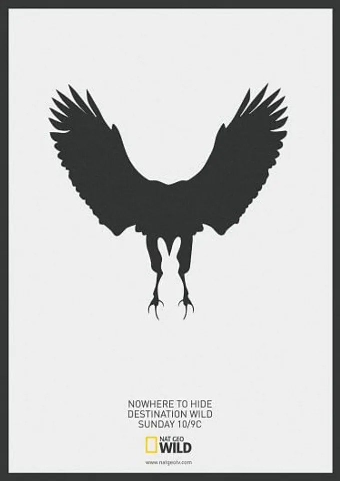 Eagle Vs Rabbit