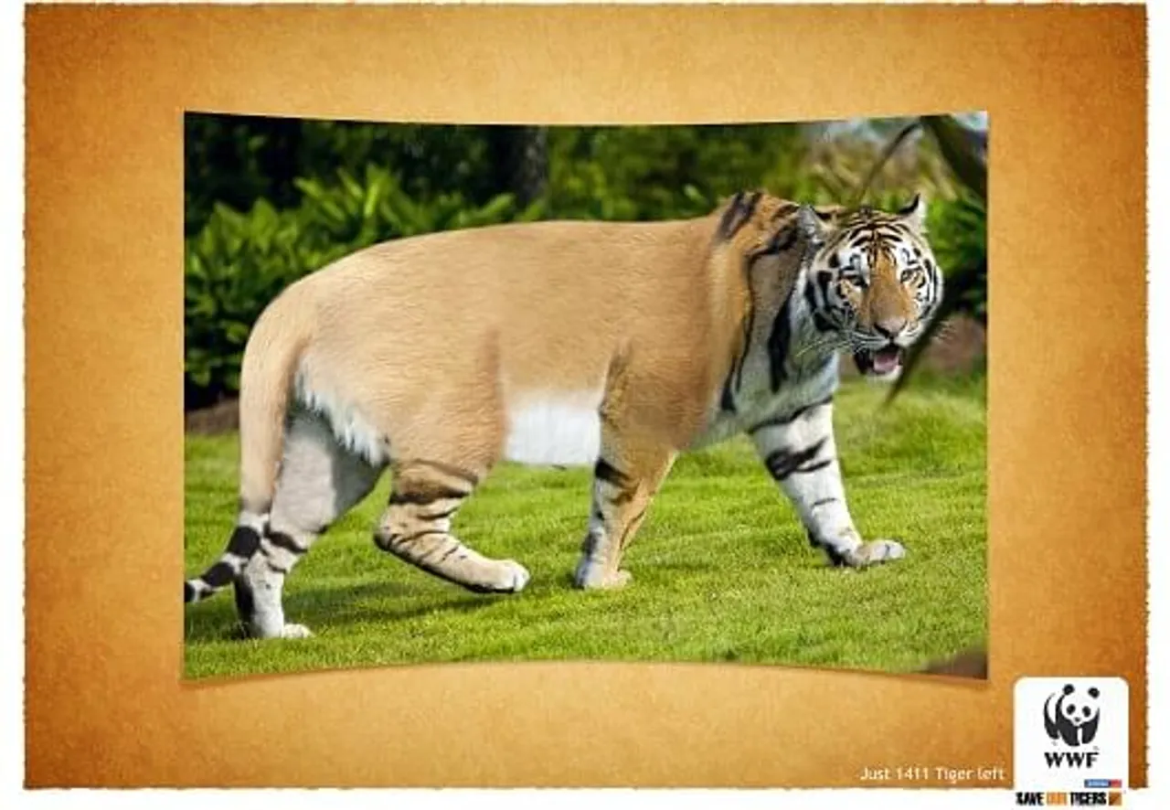 Save the tiger