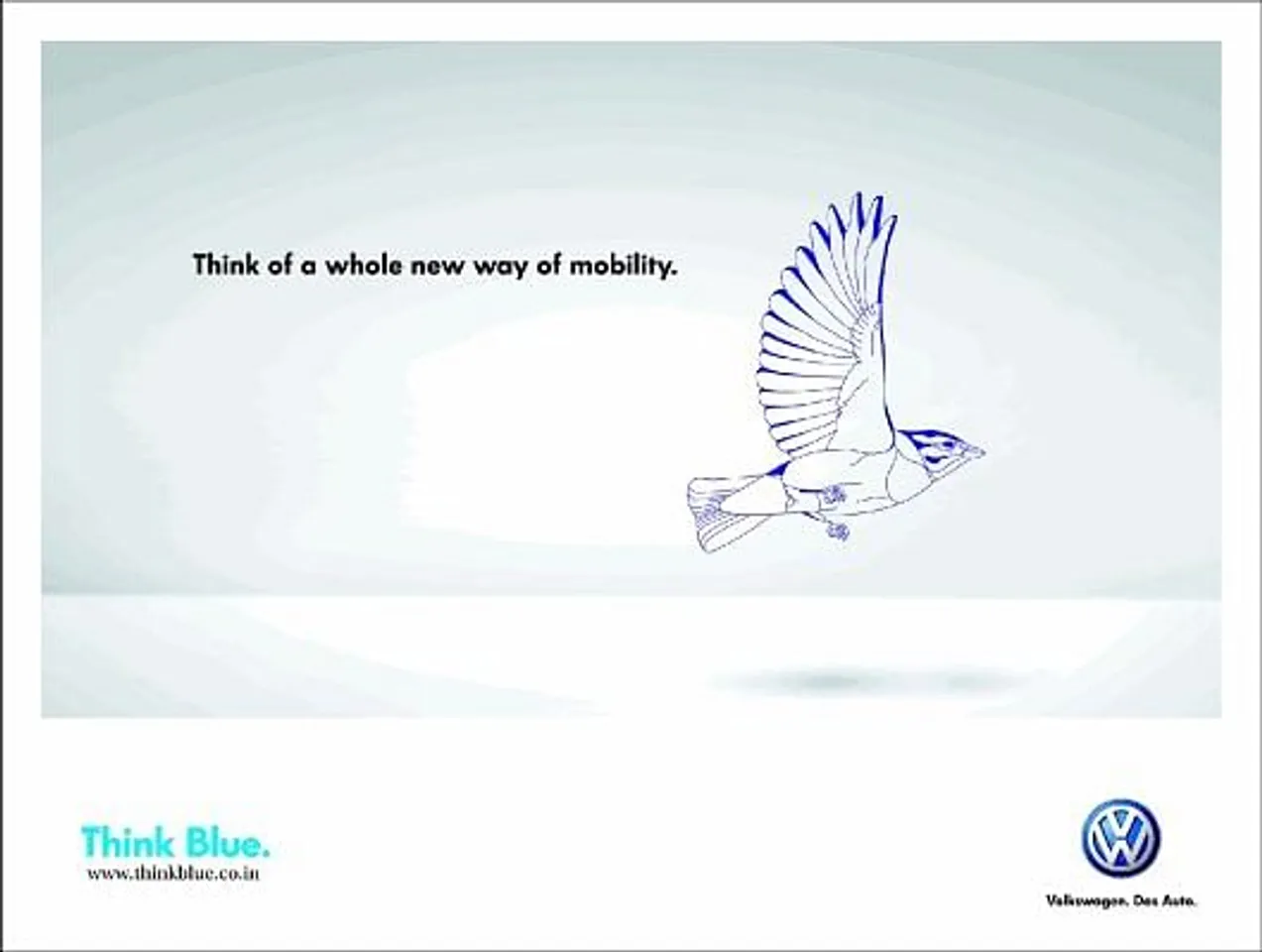 Blue - bird