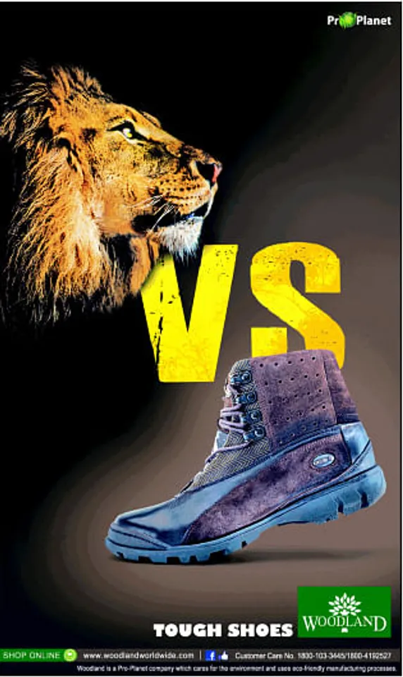 Vs Lion