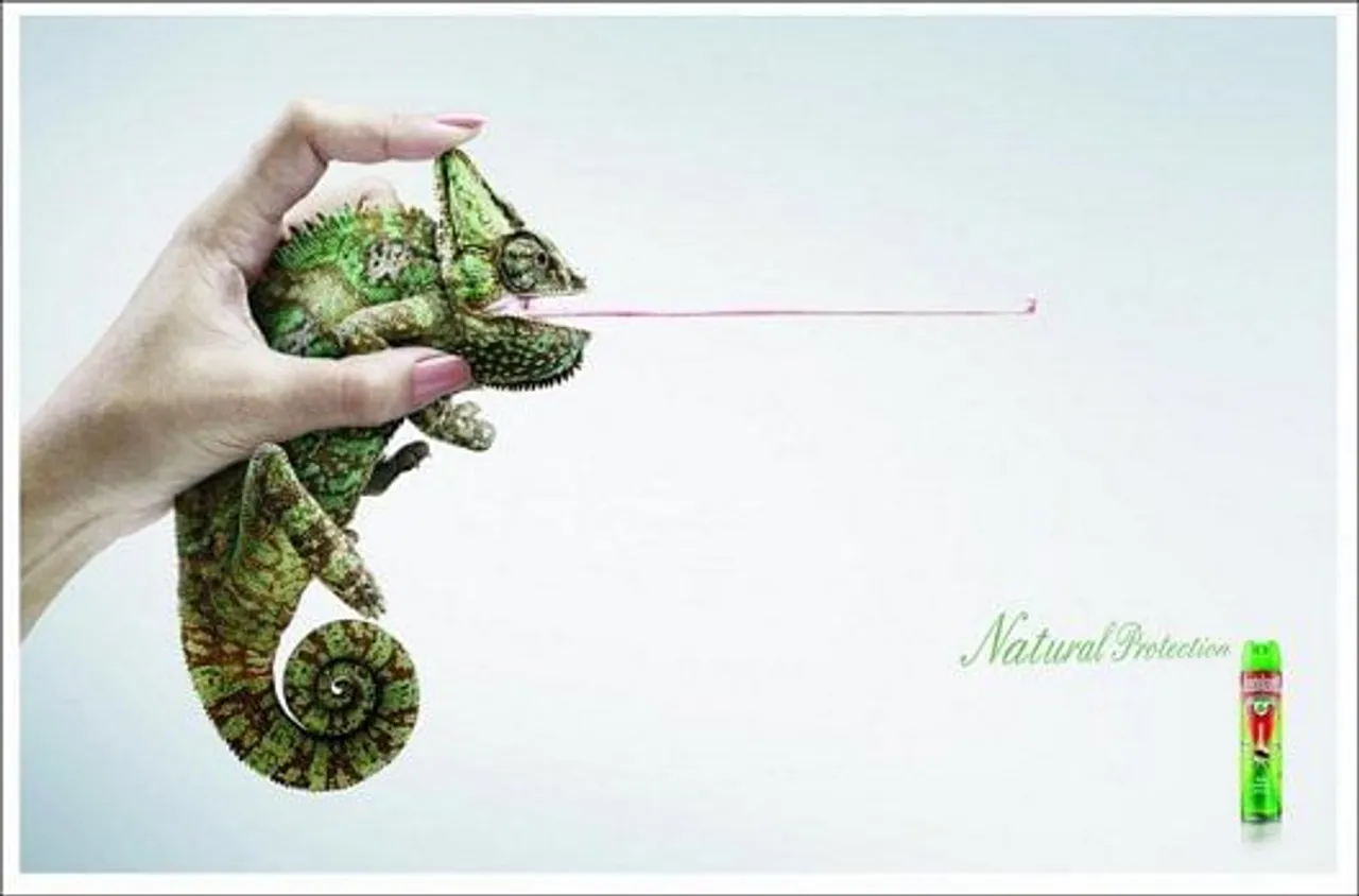 Chameleon