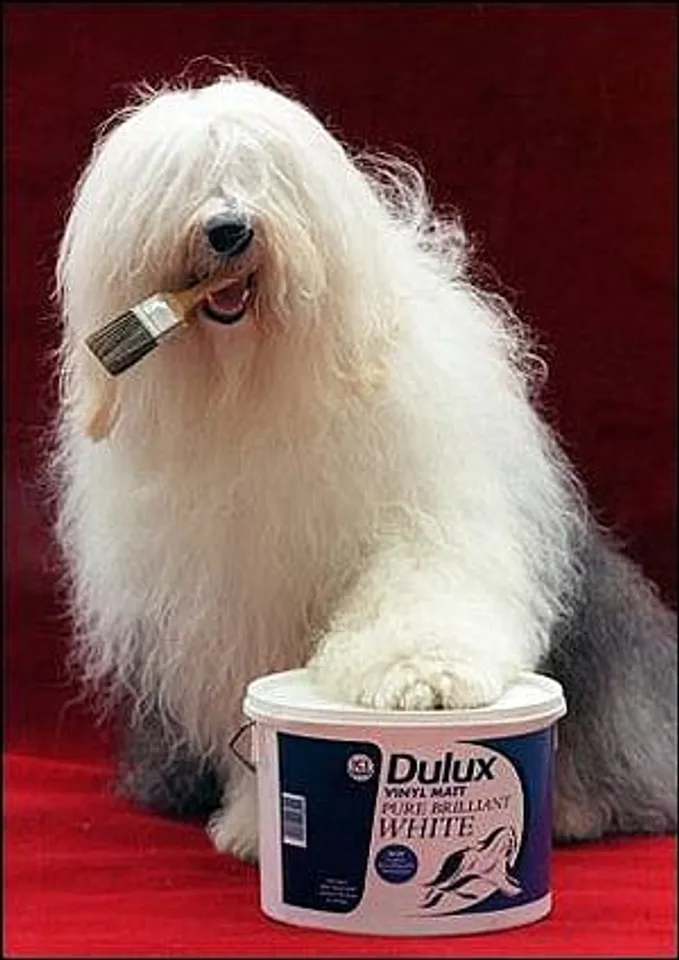 McCann Erickson pockets creative duties of Dulux Paints