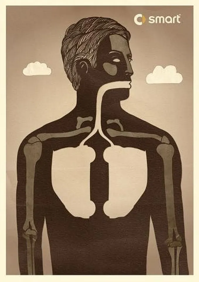 Lungs