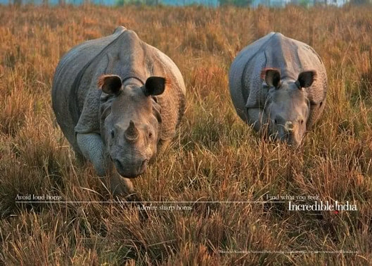 Kaziranga National Park, Assam