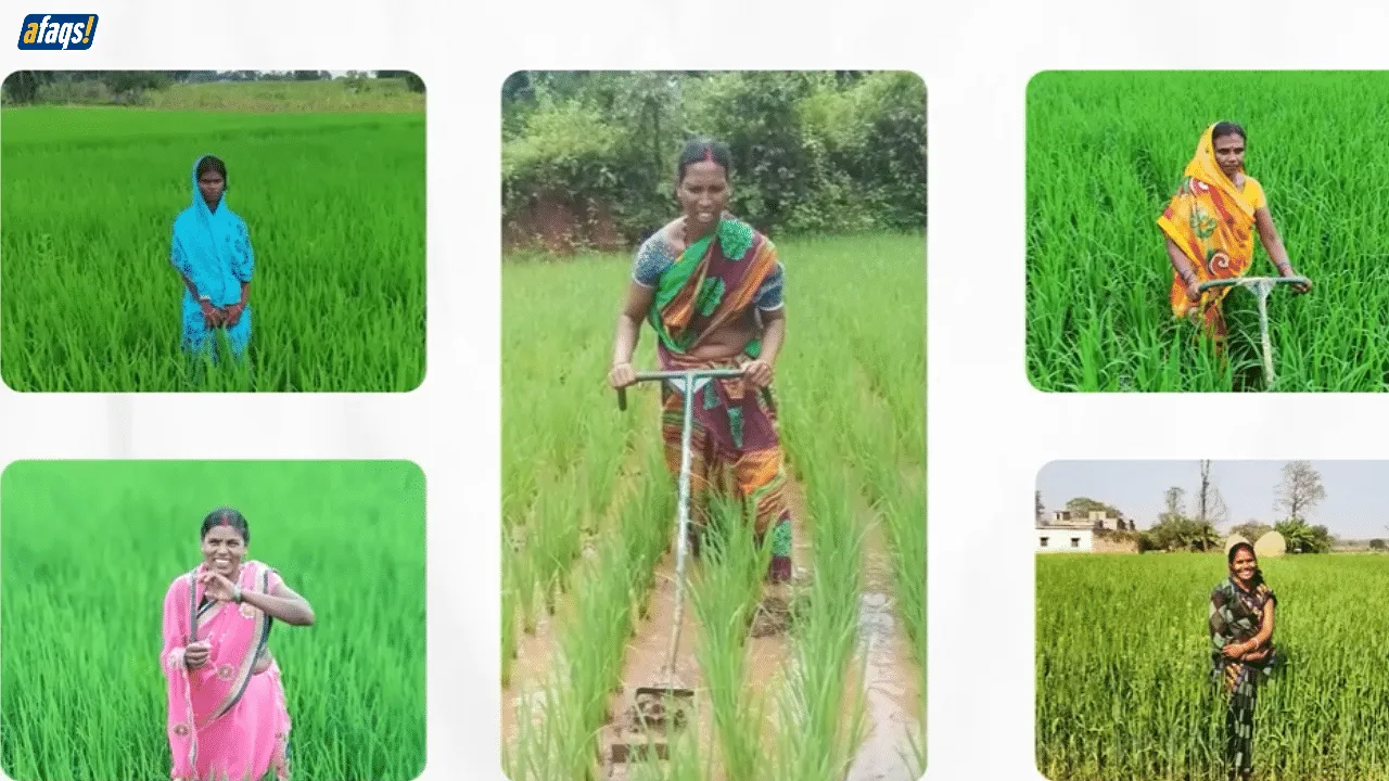 Netizens point to similarities between Women's Day ad campaigns from Welspun and DS Group on women farmers 