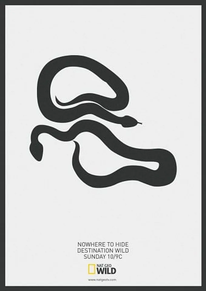 Snakes Vs Rat Bird