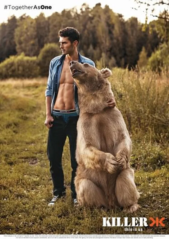 Bear