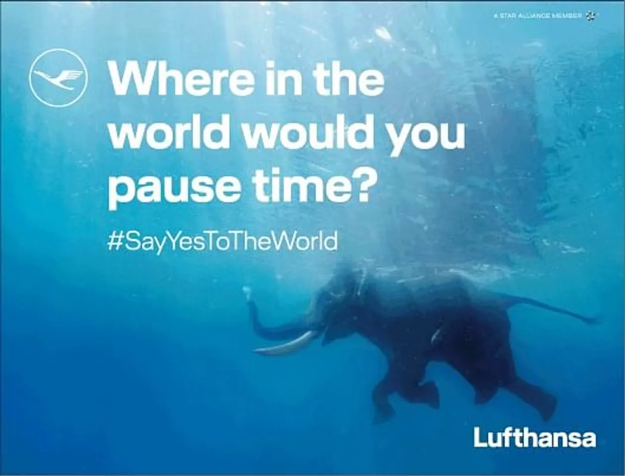 #SayYesToTheWorld