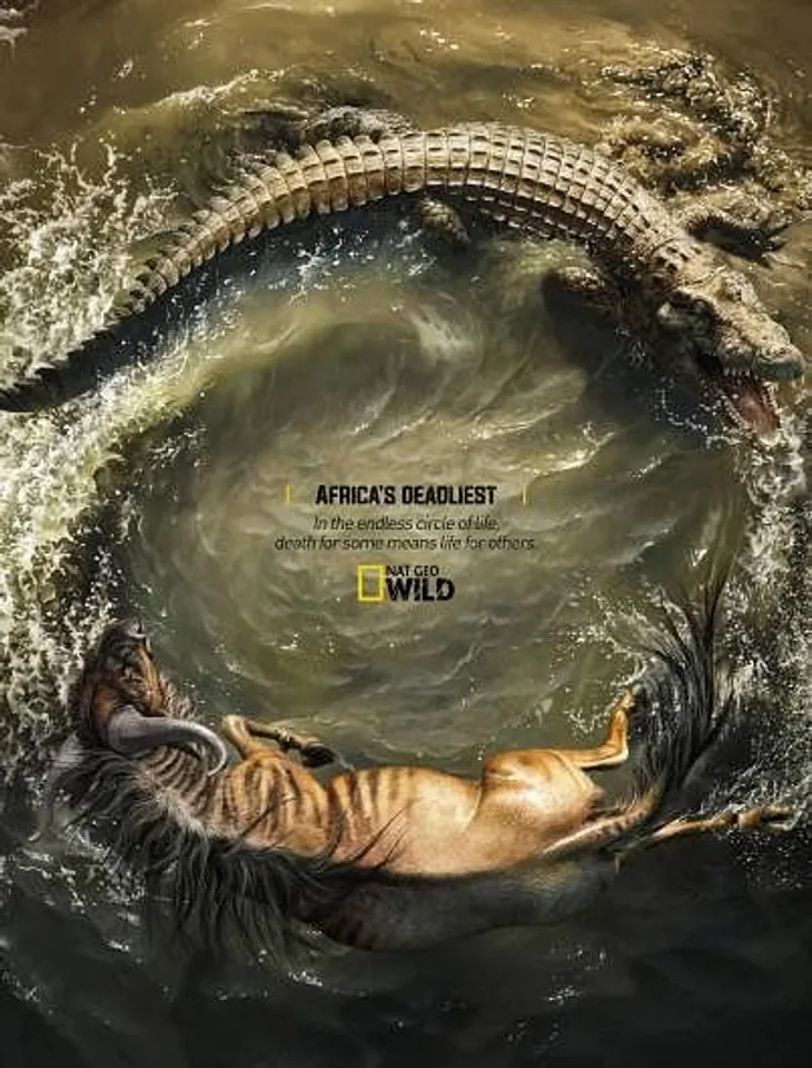 Africa's Deadliest - Crocodile X Wildebeest