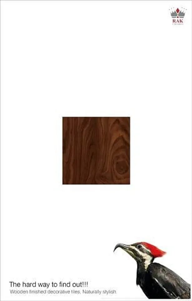 Woodpecker