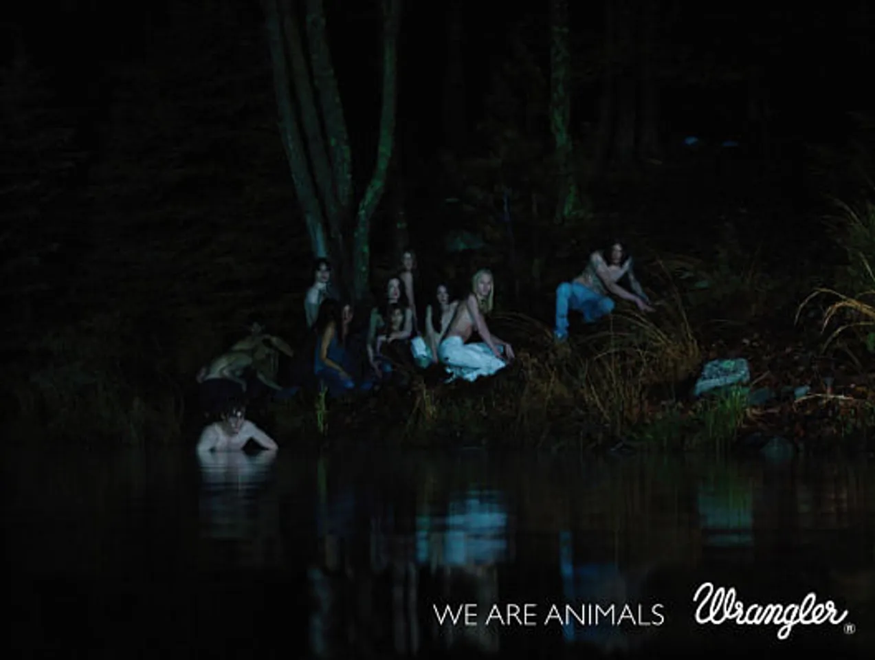 We are animals