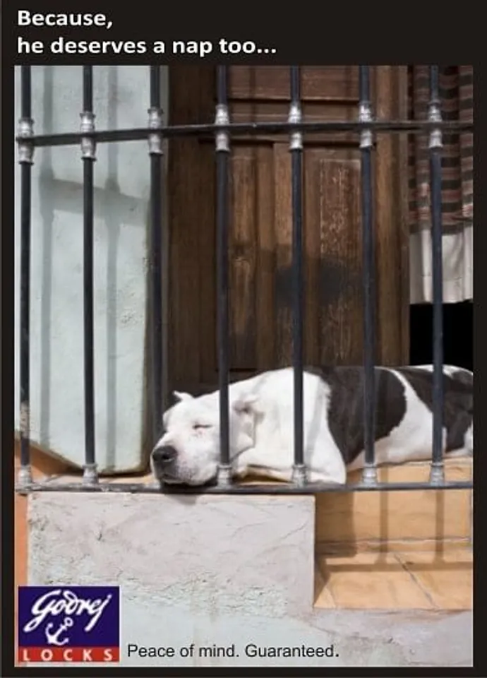Snoozing Guard Dog