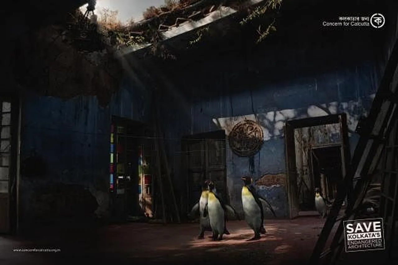 Penguin