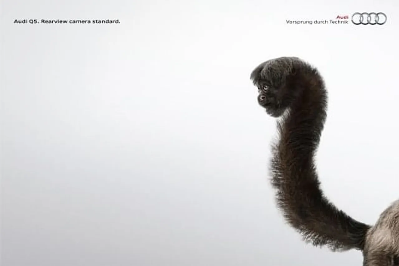 Monkey