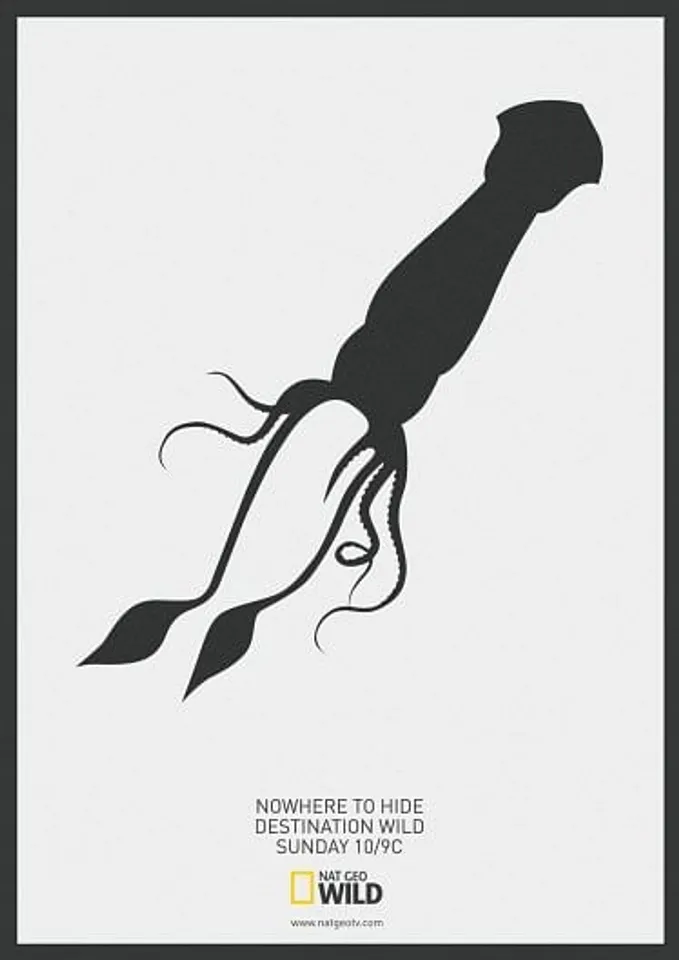 Giant Squid Vs Sperm Whale