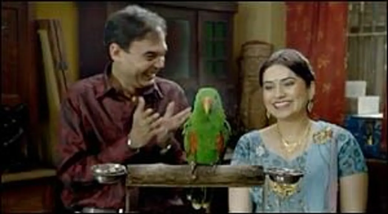 This parrot doesn't parrot
