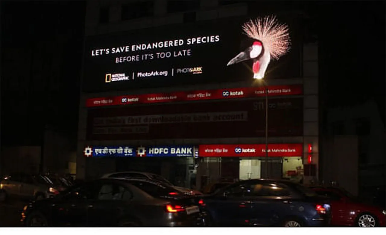 Let's save endangered species - 3