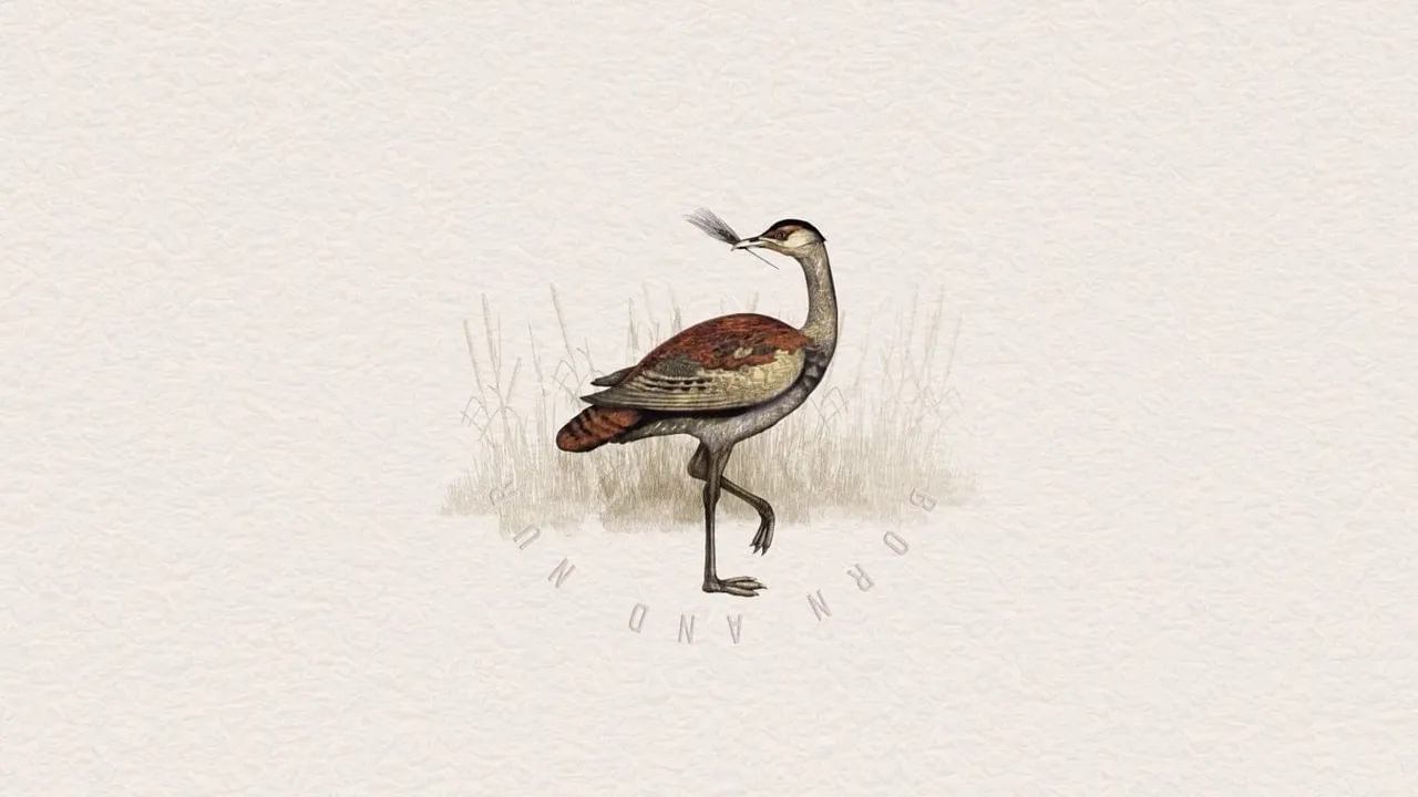 Here's how Godawan's latest campaign tries to save the rare species of Rajasthan