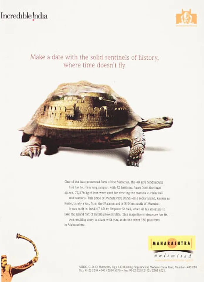 Tortoise