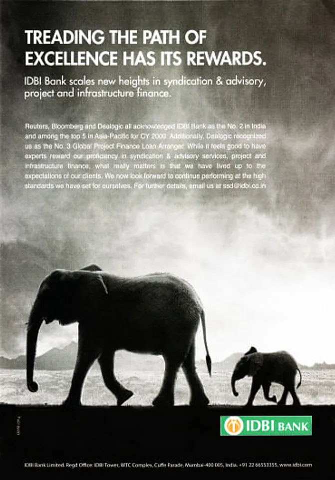 Elephants