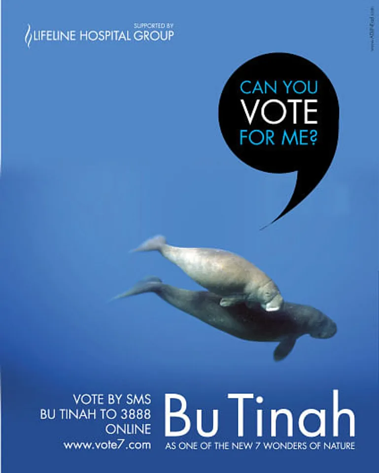 Can You Vote for me?