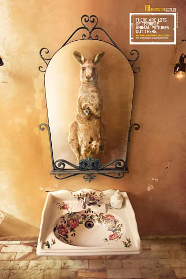 Animal Selfies
