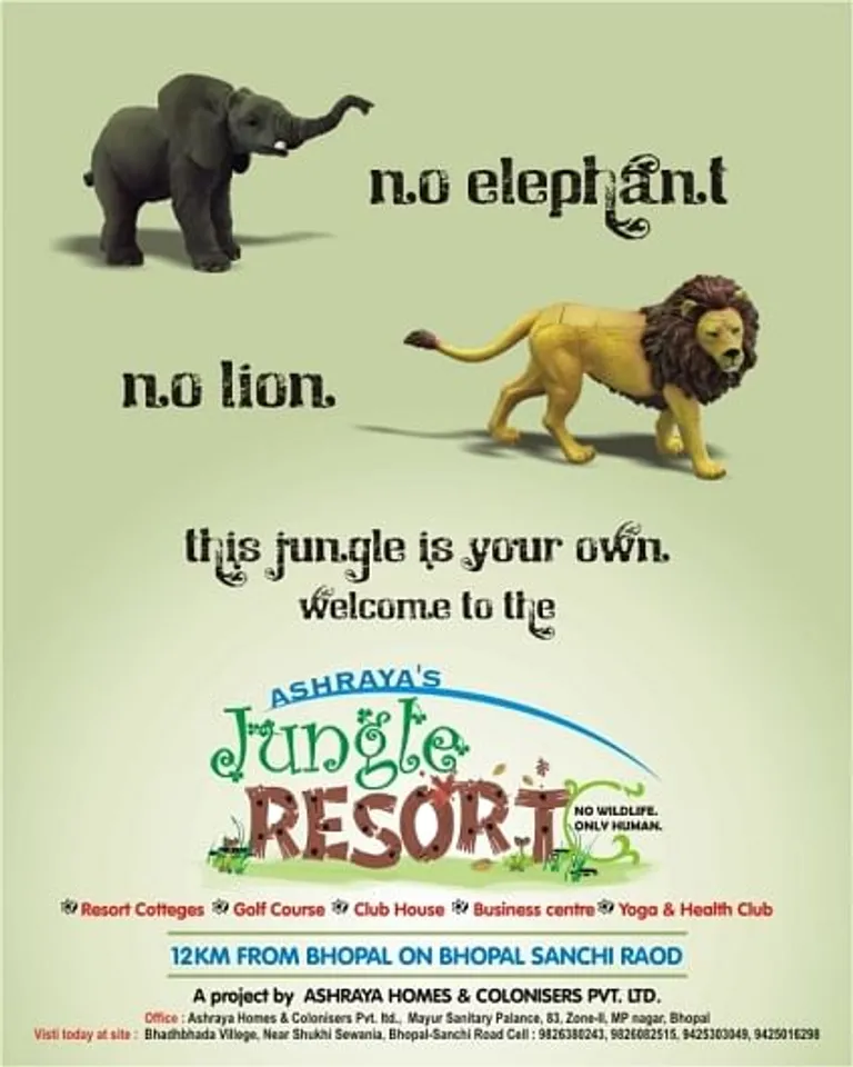 this jungle is your own