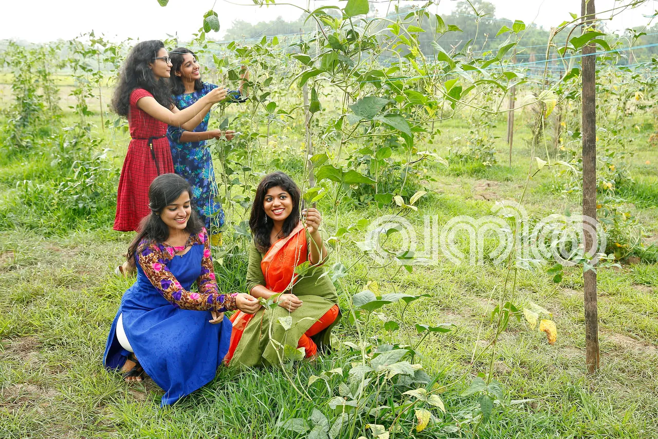 Vanitha – Vithumuthal Vilavu Vare Scheme