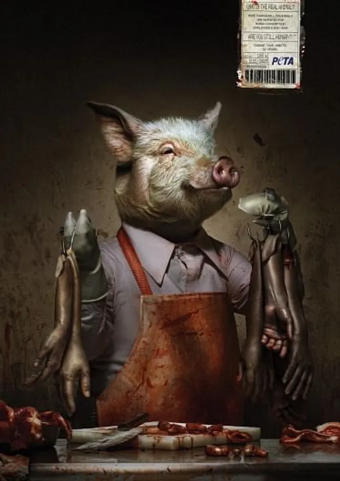 Real animal - 1