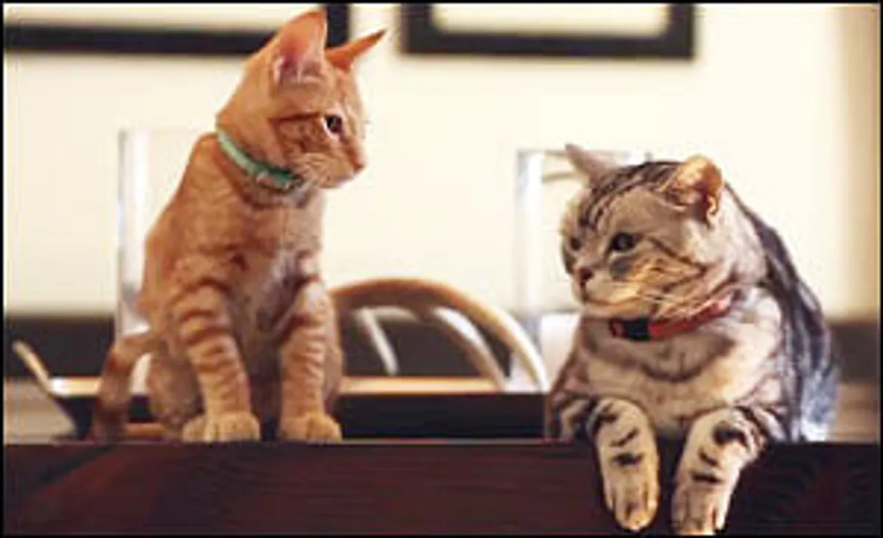 Viral Now: Heard Friskies' Cat talk yet?