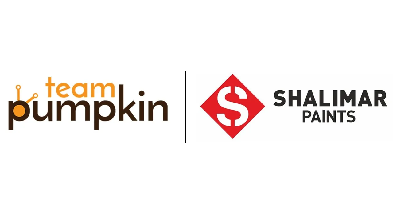Team Pumpkin wins the digital marketing mandate for Shalimar Paints