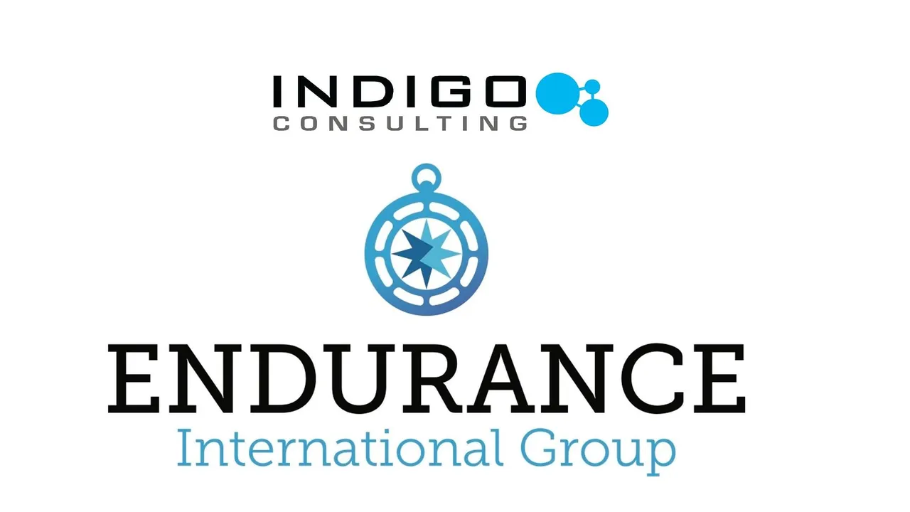 Indigo Consulting wins Endurance International Group’s ‘Bluehost India’