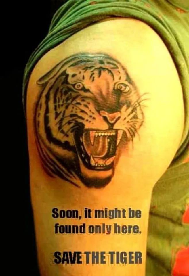 Save Tiger