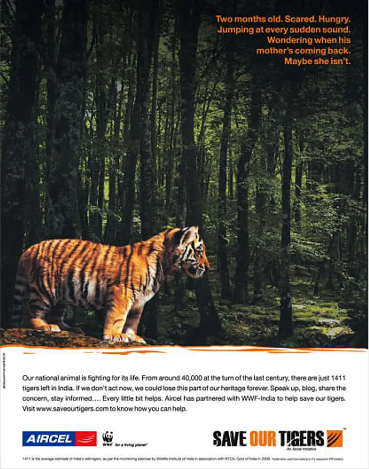 Save our tigers