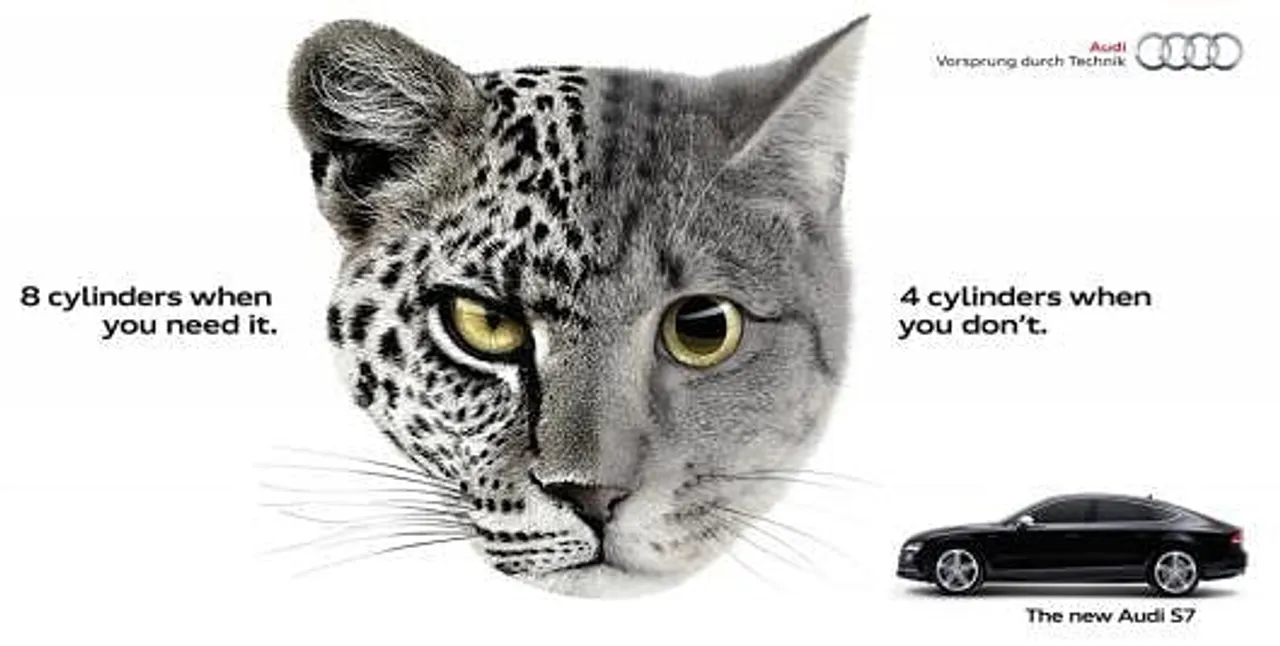 Leopcat