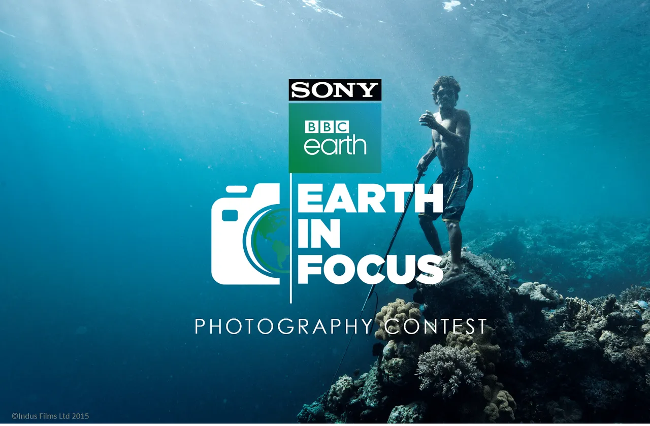 Sony BBC Earth concludes a successful run of photography contest and IP ‘Earth in Focus’