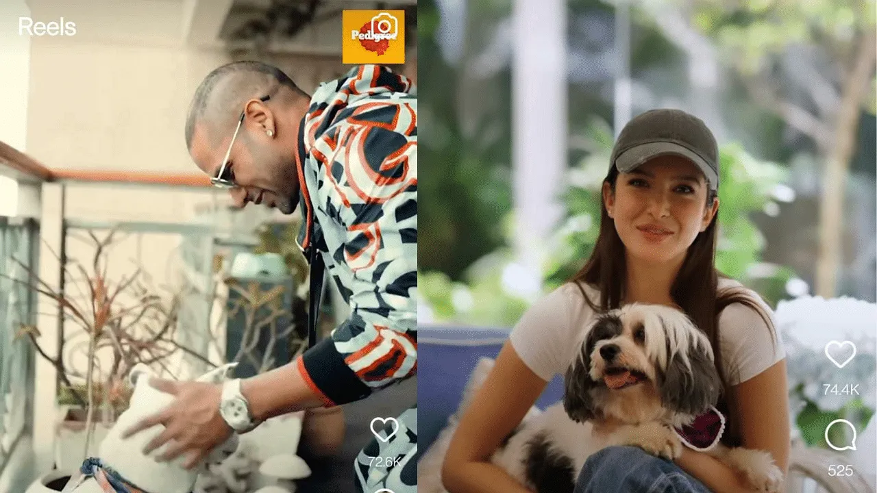 Pedigree showcases its vision to transform dogs’ health with its latest campaigns