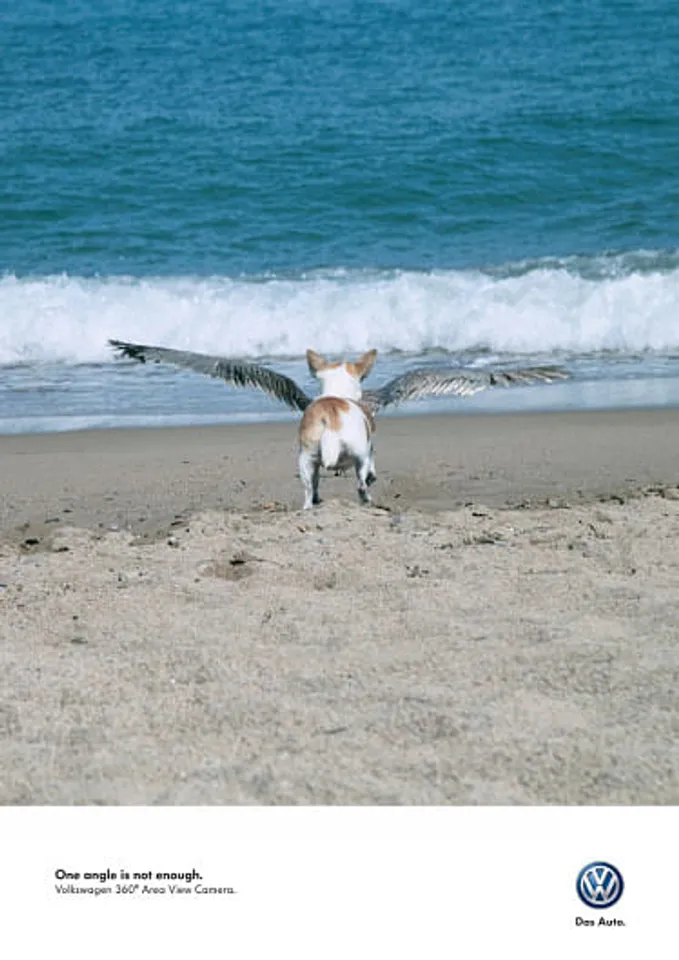 One angle is not enough - Dog