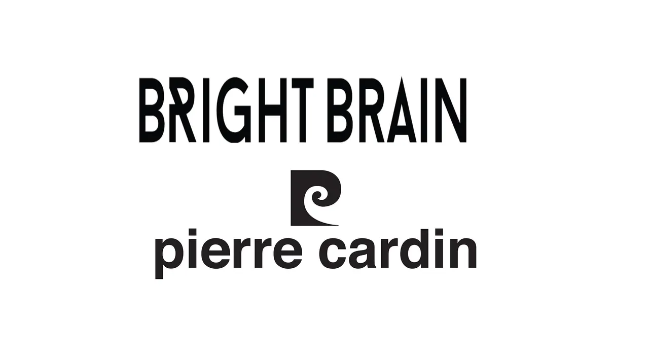 Bright Brain Marketing Technologies bags Digital Advertising for Pierre Cardin India!

