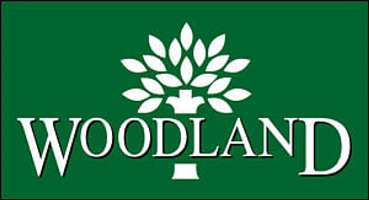LinTeractive bags Woodland's digital mandate